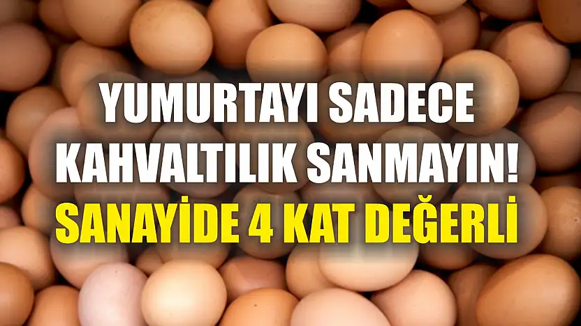 Yumurtayı sadece kahvaltılık sanmayın! Sanayide 4 kat değerli