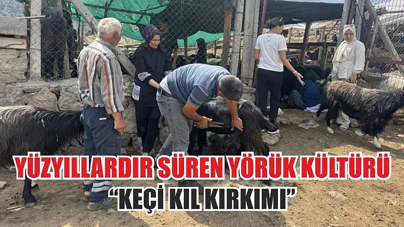Yüzyıllardır süren Yörük kültürü 'keçi kıl kırkımı'