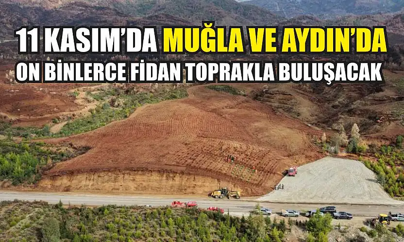 11 Kasım'da Muğla ve Aydın'da on binlerce fidan toprakla buluşacak