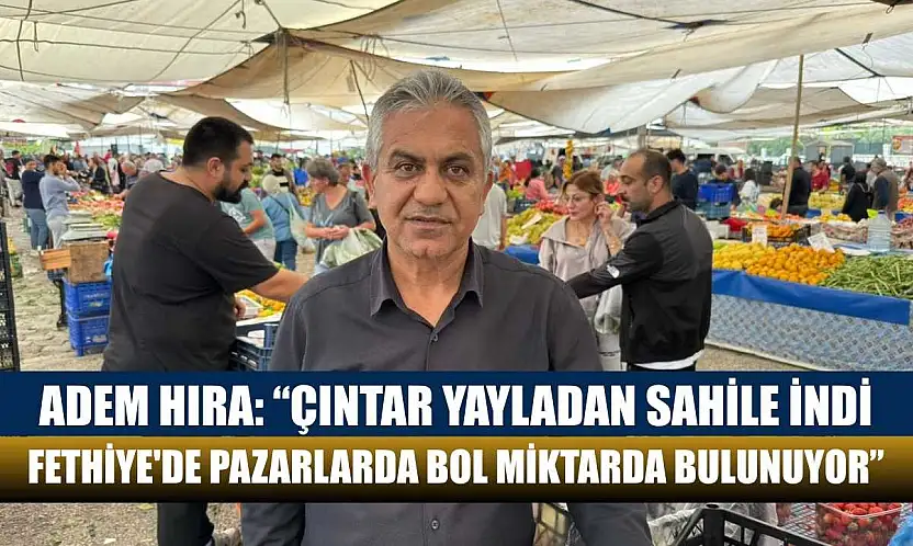 Adem Hıra: 'Çıntar yayladan sahile indi, Fethiye'de pazarlarda bol miktarda bulunuyor'