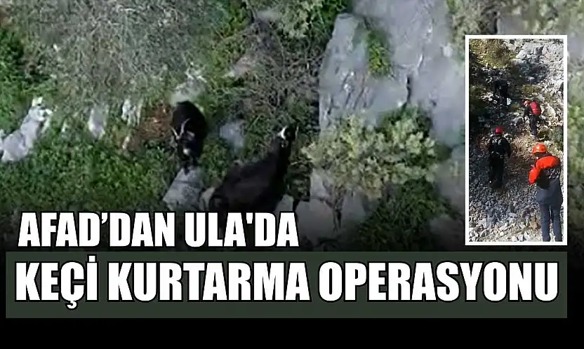 AFAD'dan Ula'da keçi kurtarma operasyonu
