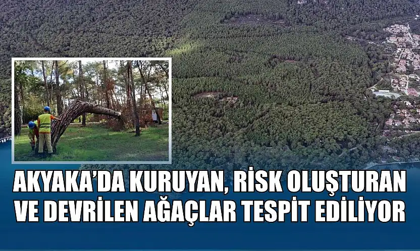 Akyaka'da kuruyan, risk oluşturan ve devrilen ağaçlar tespit ediliyor