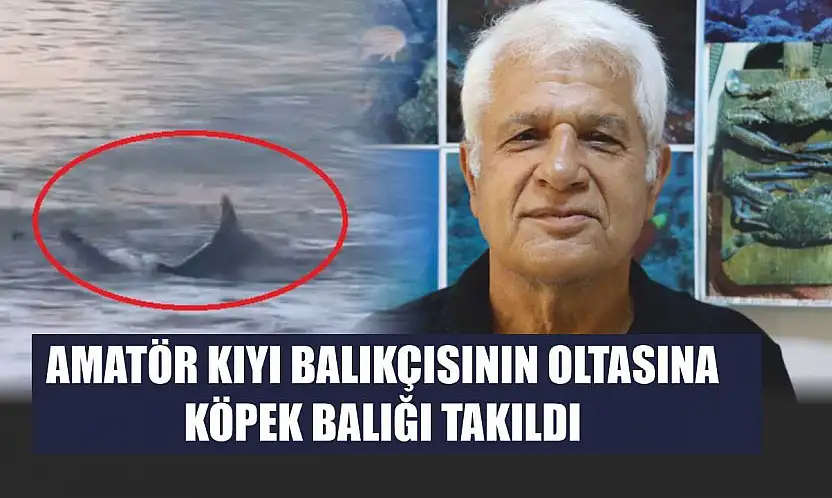 Amatör kıyı balıkçısının oltasına köpek balığı takıldı