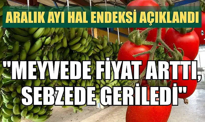 Aralık ayı hal endeksi açıklandı: 'Meyvede fiyat arttı, sebzede geriledi'