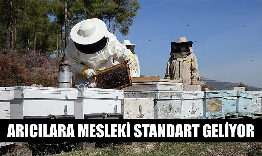 Arıcılara mesleki standart geliyor