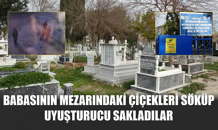Babasının mezarındaki çiçekleri söküp uyuşturucu sakladılar