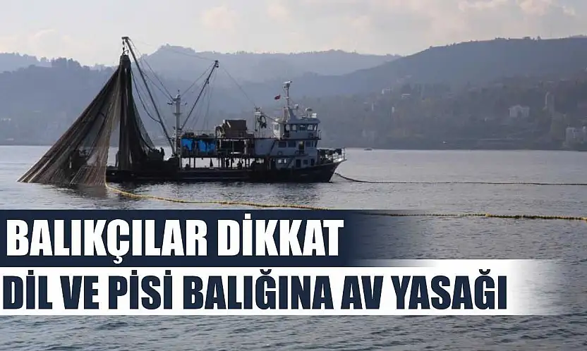 Balıkçılar Dikkat: Dil ve Pisi Balığına Av Yasağı