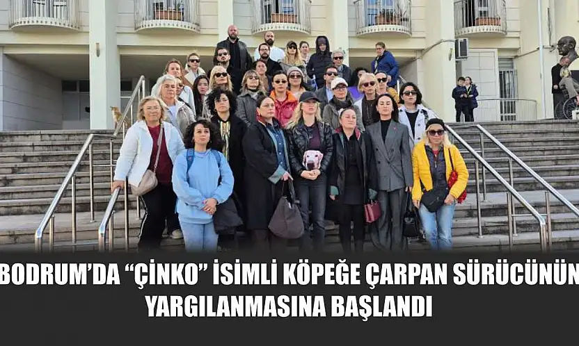 Bodrum'da 'Çinko' isimli köpeğe çarpan sürücünün yargılanmasına başlandı