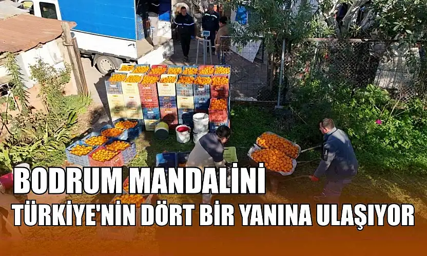 Bodrum Mandalini Türkiye'nin dört bir yanına ulaşıyor