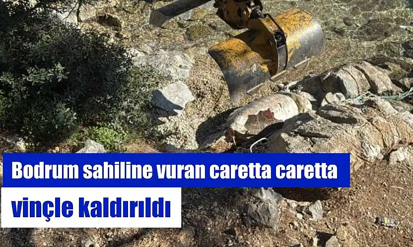 Bodrum sahiline vuran caretta caretta vinçle kaldırıldı