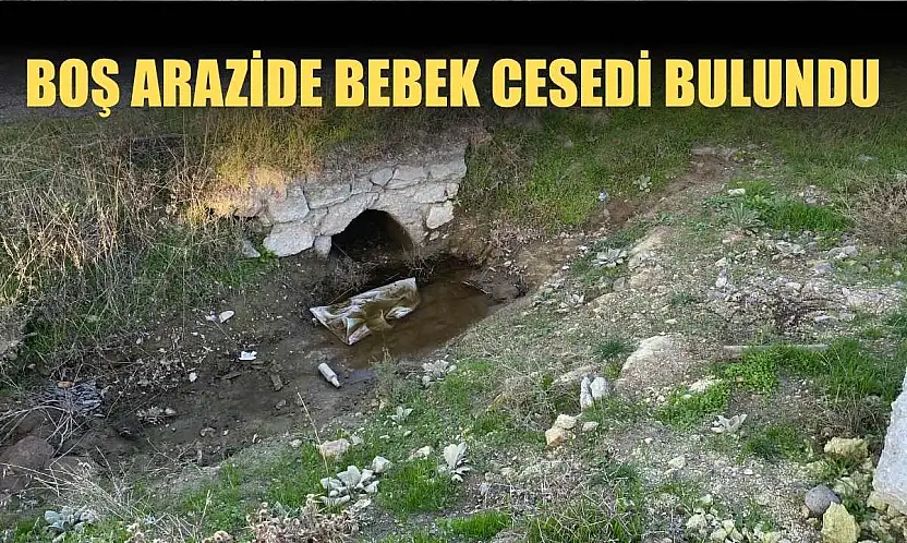 Boş arazide bebek cesedi bulundu