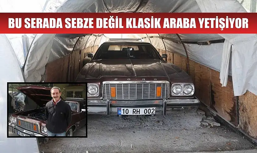 Bu serada sebze değil klasik araba yetişiyor