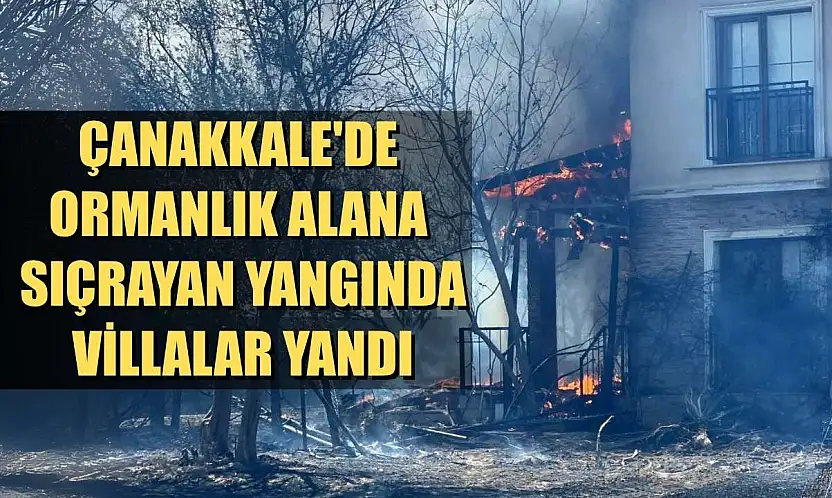 Çanakkale'de ormanlık alana sıçrayan yangında villalar yandı
