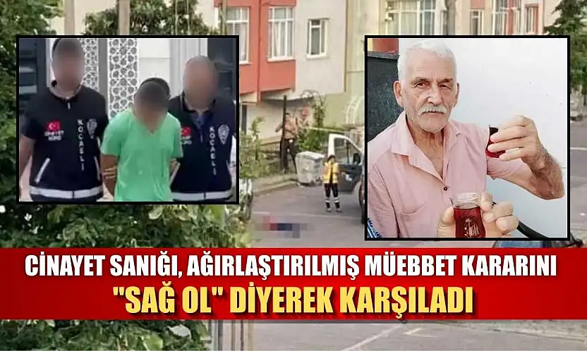 Cinayet sanığı, ağırlaştırılmış müebbet kararını 'Sağ ol' diyerek karşıladı