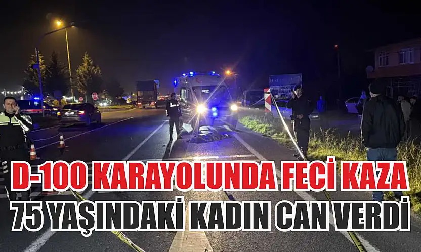 D-100 Karayolu'nda Feci Kaza: 75 Yaşındaki Kadın Can Verdi