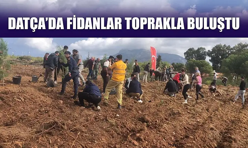Datça'da fidanlar toprakla buluştu