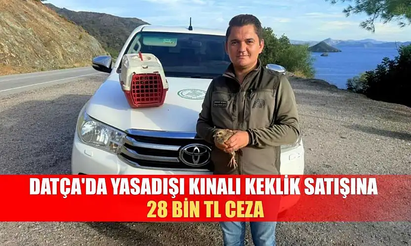 Datça'da Yasadışı Kınalı Keklik satışına 28 bin TL ceza