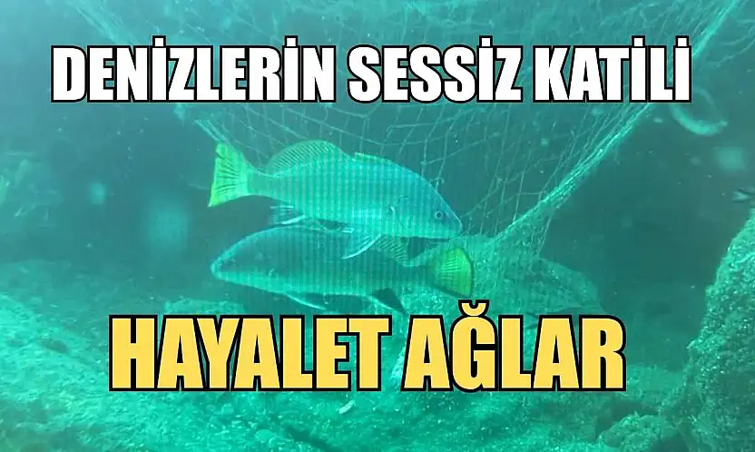 Denizlerin sessiz katili: Hayalet ağlar