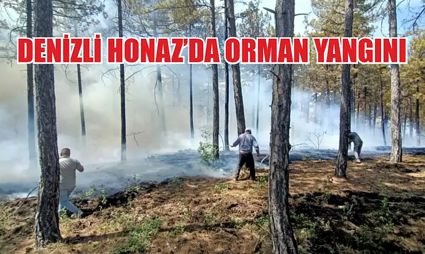 Denizli Honaz'da orman yangını