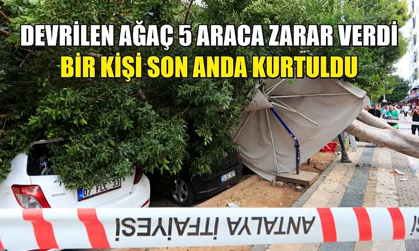 Devrilen ağaç 5 araca zarar verdi: Bir kişi son anda kurtuldu
