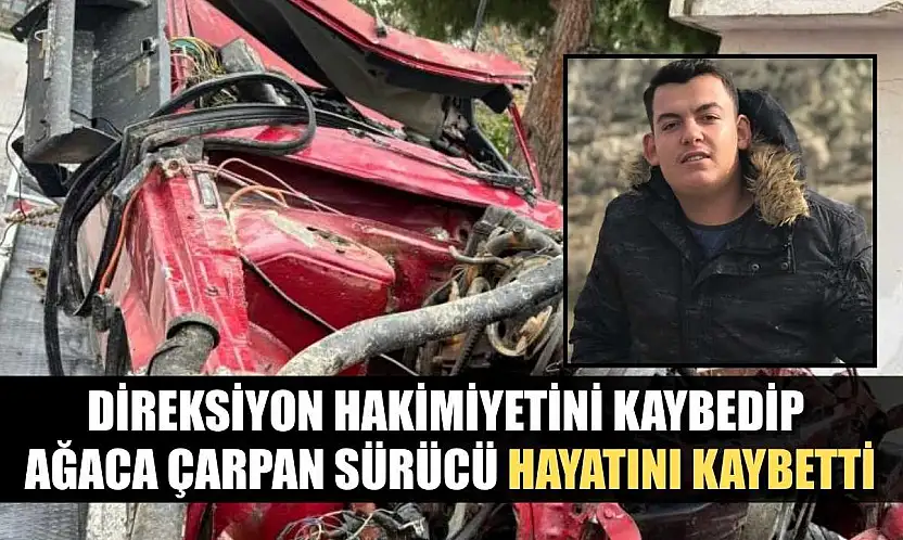 Direksiyon hakimiyetini kaybedip ağaca çarpan sürücü hayatını kaybetti
