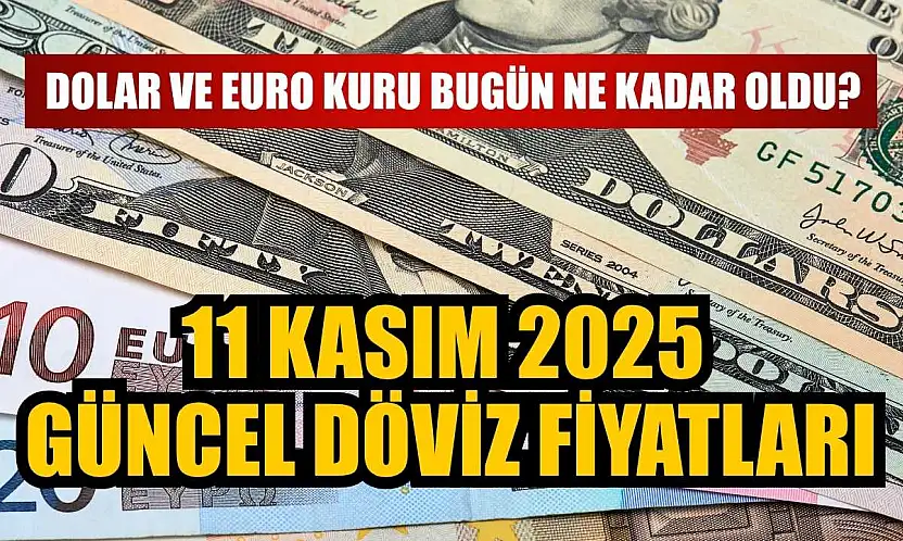 Dolar ve Euro kuru bugün ne kadar oldu?  11 Kasım 2025 güncel döviz fiyatları