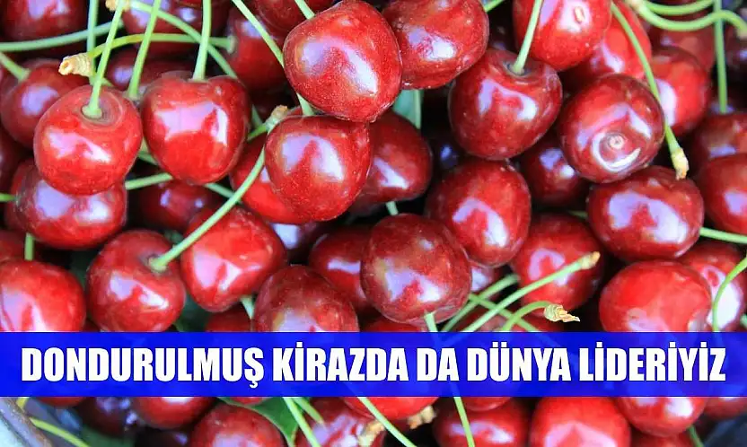 Dondurulmuş kirazda da dünya lideriyiz