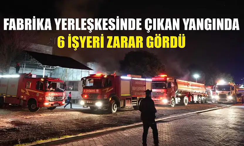 Fabrika yerleşkesinde çıkan yangında 6 işyeri zarar gördü