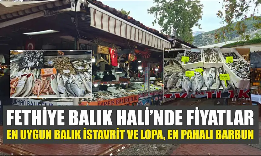 Fethiye Balık Hali'nde fiyatlar: En uygun balık istavrit ve lopa, en pahalı barbun