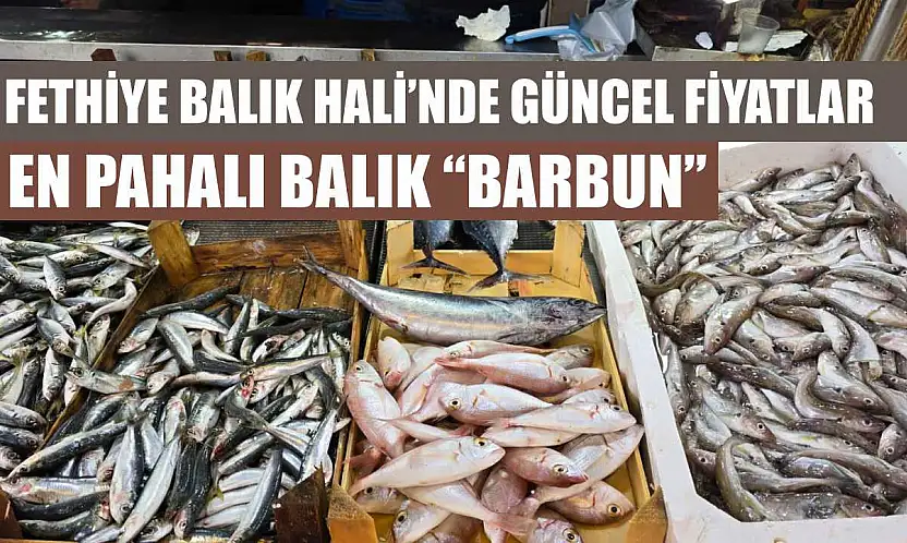 Fethiye Balık Hali'nde güncel fiyatlar: En pahalı balık 'Barbun'