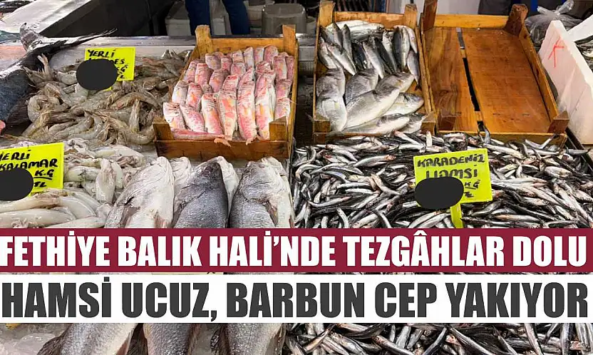 Fethiye Balık Hali'nde tezgâhlar dolu: Hamsi ucuz, Barbun cep yakıyor