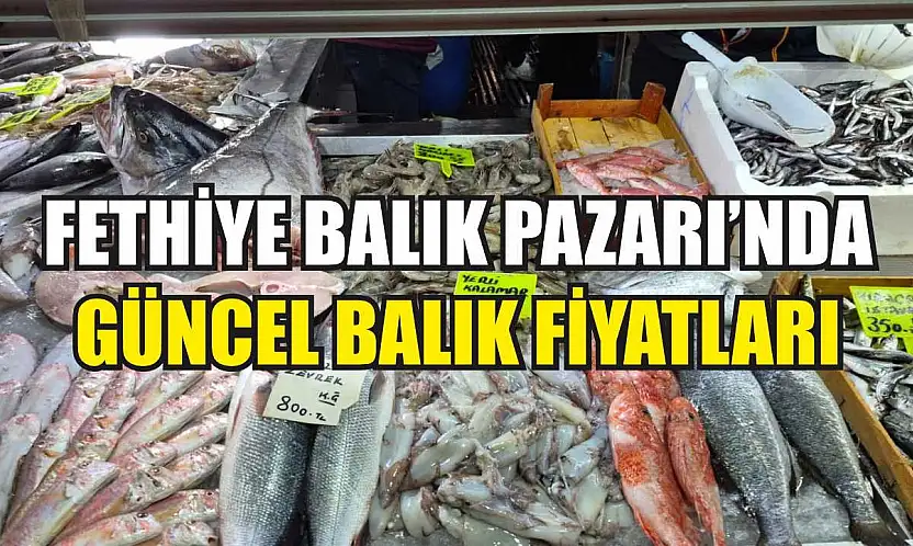 Fethiye Balık Pazarı'nda güncel balık fiyatları
