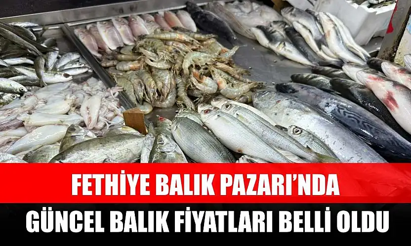 Fethiye Balık Pazarı'nda Güncel Balık Fiyatları Belli Oldu