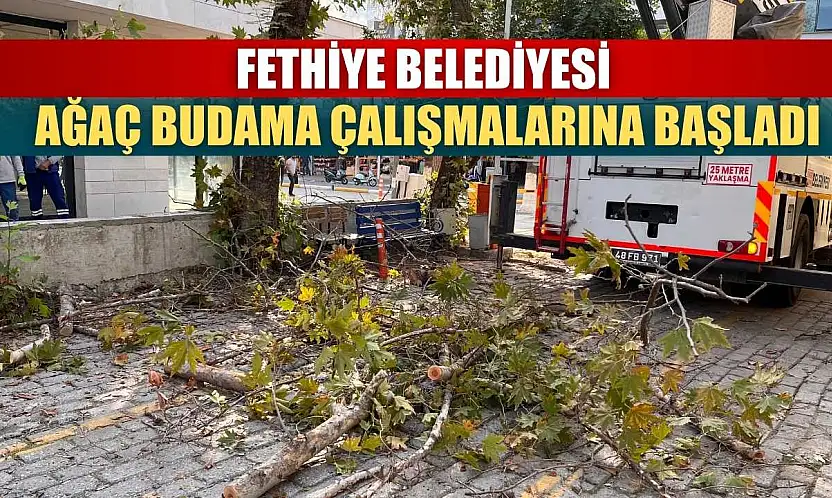 Fethiye Belediyesi Ağaç Budama Çalışmalarına Başladı