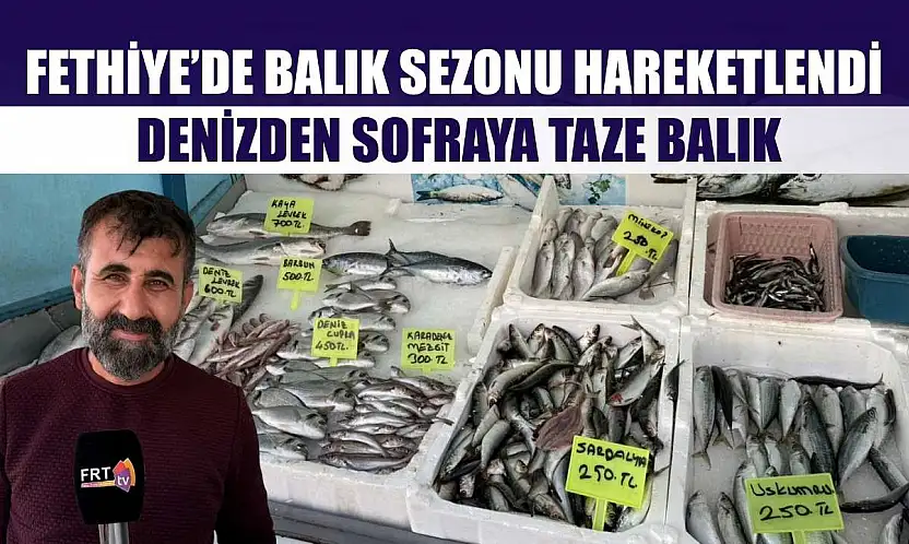 Fethiye'de balık sezonu hareketlendi: Denizden sofraya taze balık