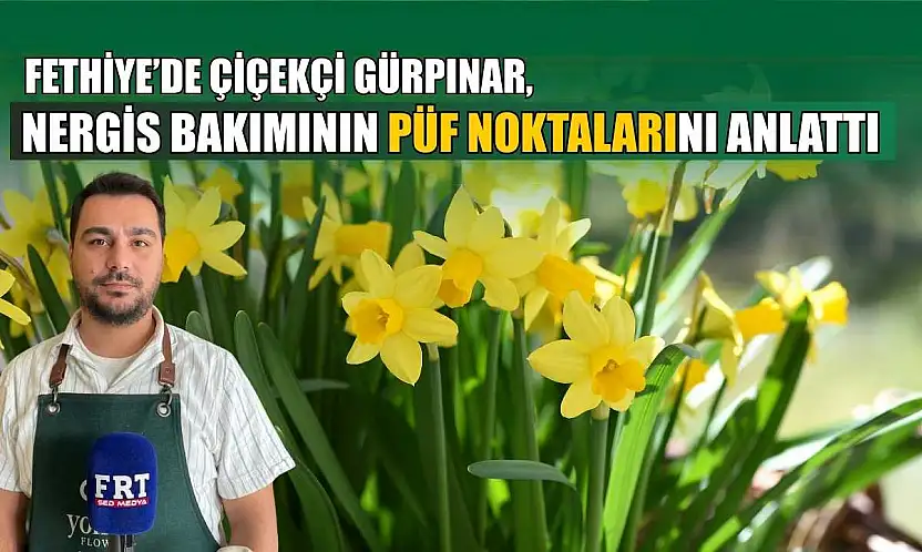 Fethiye'de Çiçekçi Gürpınar, nergis bakımının püf noktalarını anlattı