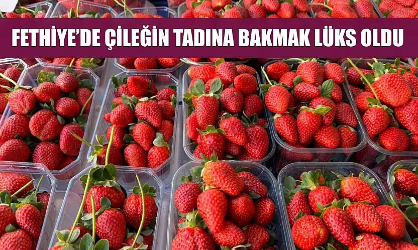 Fethiye'de çileğin tadına bakmak lüks oldu