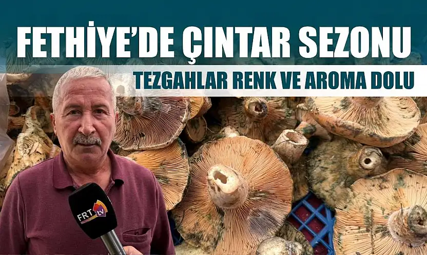 Fethiye'de çıntar sezonu: Tezgahlar renk ve aroma dolu