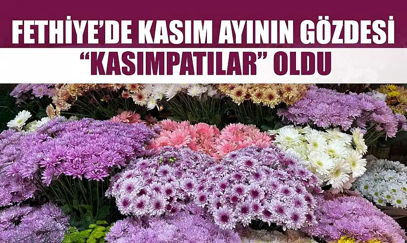 Fethiye'de Kasım ayının gözdesi 'Kasımpatılar' oldu