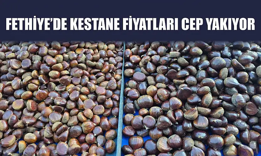 Fethiye'de Kestane Fiyatları Cep Yakıyor