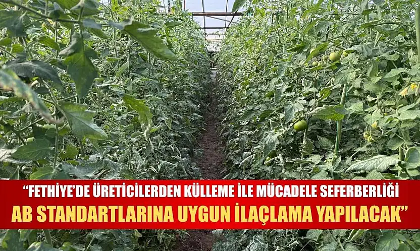 'Fethiye'de üreticilerden külleme ile mücadele seferberliği: AB Standartlarına uygun ilaçlama yapılacak'