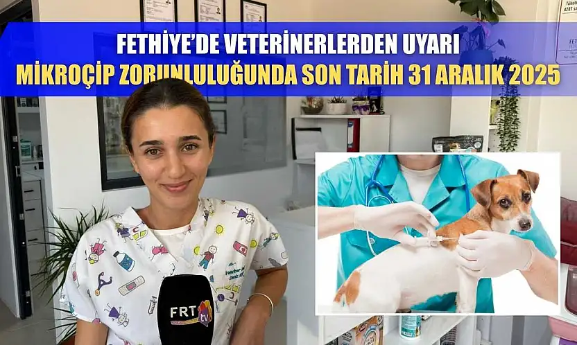 Fethiye'de veterinerlerden uyarı: Mikroçip zorunluluğunda son tarih 31 Aralık 2025