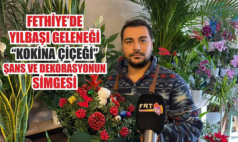 Fethiye'de yılbaşı geleneği: 'Kokina Çiçeği' şans ve dekorasyonun simgesi