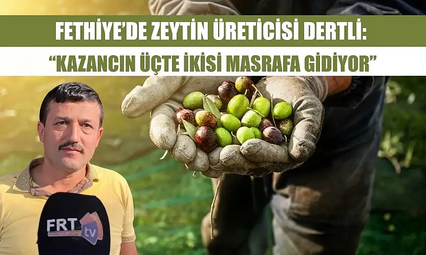 Fethiye'de Zeytin Üreticisi Dertli: 'Kazancın Üçte İkisi Masrafa Gidiyor'