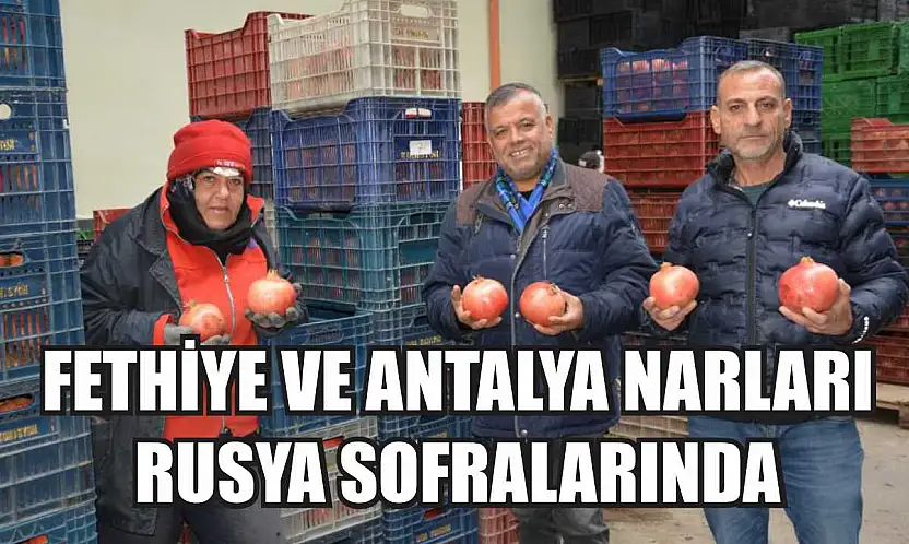 Fethiye ve Antalya Narları Rusya Sofralarında