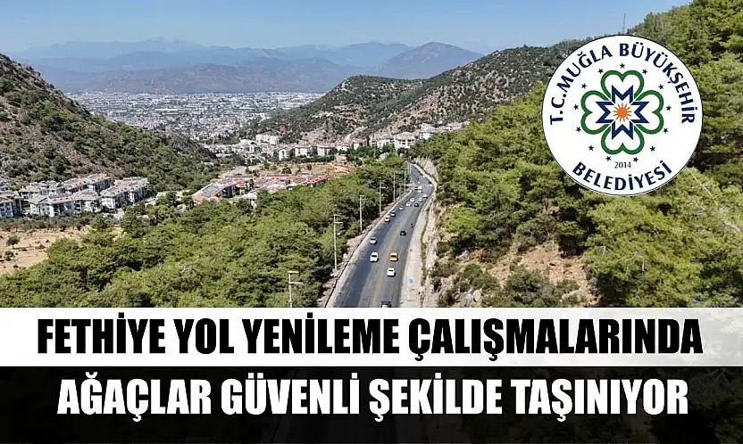 Fethiye Yol Yenileme Çalışmalarında Ağaçlar Güvenli Şekilde Taşınıyor