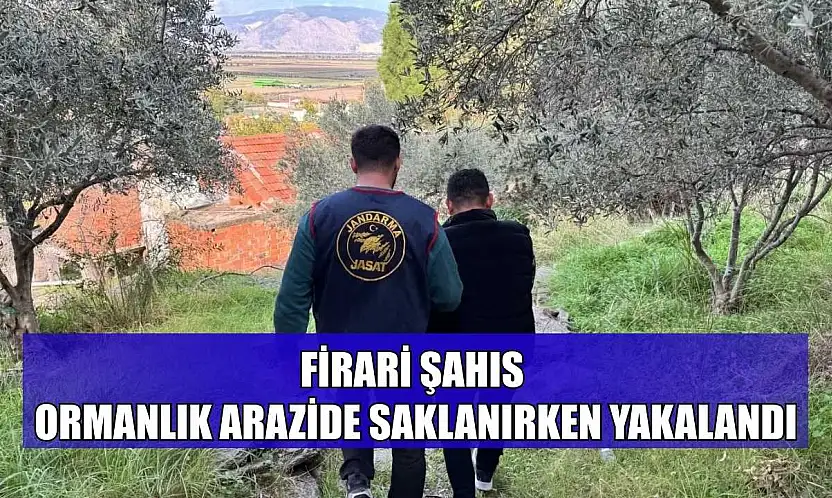 Firari şahıs ormanlık arazide saklanırken yakalandı