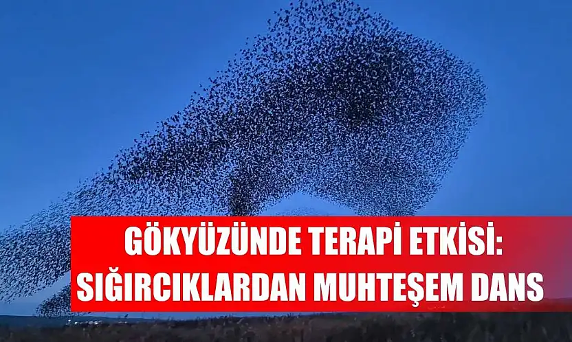 Gökyüzünde terapi etkisi: Sığırcıklardan muhteşem dans