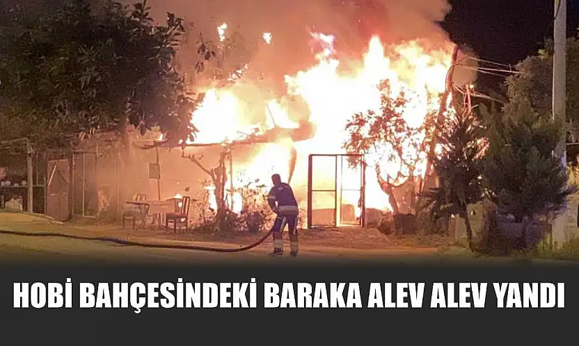 Hobi bahçesindeki baraka alev alev yandı