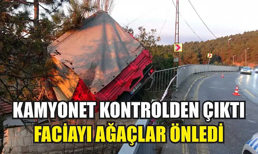 Kamyonet kontrolden çıktı: Faciayı ağaçlar önledi